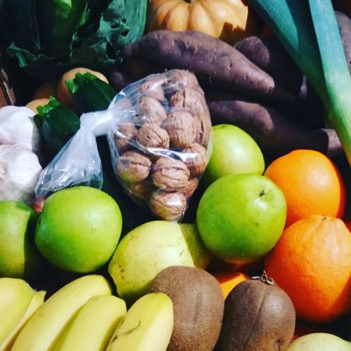 26168367_1019088471564247_7185898007223899262_n.jp