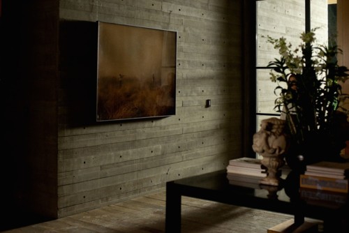 nocturnal-animals-005.jpg nocturnal-animals-005.jpg