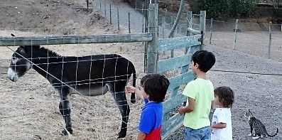 DSC06586 (2).JPG DSC06586 (2).JPG