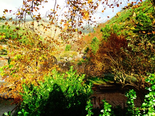 Fotos de Outono !!! 088.jpg