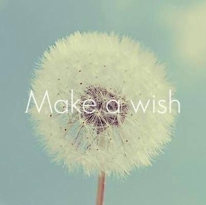 make a wish.jpg