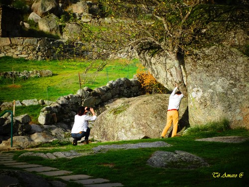 Fotos de Outono !!! 071.jpg