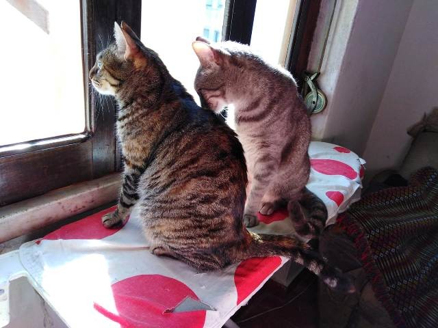 180455988_3020143438257780_8452679669604269069_n.j