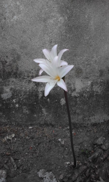 Despedida de Verão. Foto Original. 2020. 09. jpg