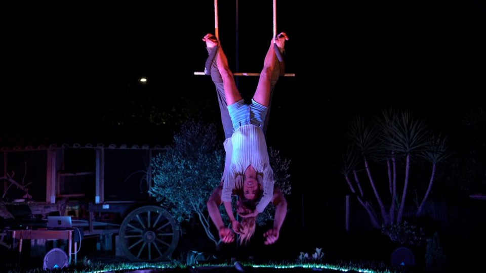 Raiz_Circo Caotico_1.jpeg