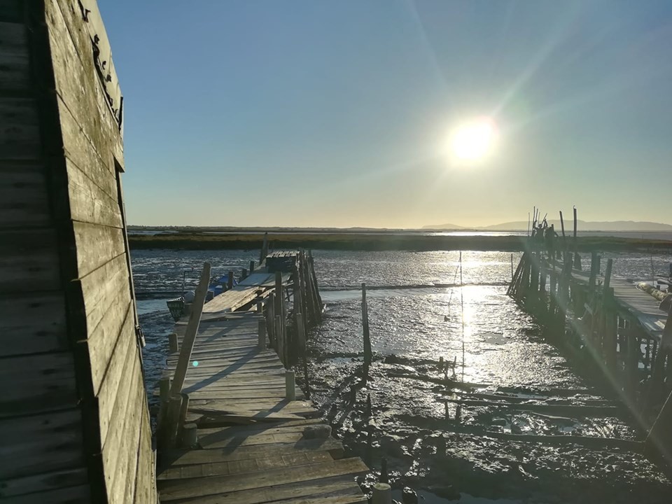 69389258_10156692367993565_3254773852391079936_n.j