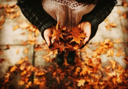 INSPIRAÇÕES DE OUTONO_FOTO6.jpg