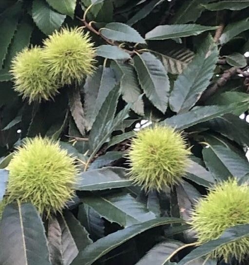 385445756_10225940901015129_7144506643321334167_n.