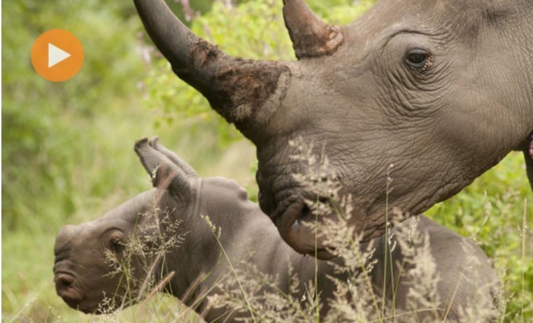 DInternacionalTERRA.jpg DInternacionalTERRA.jpg