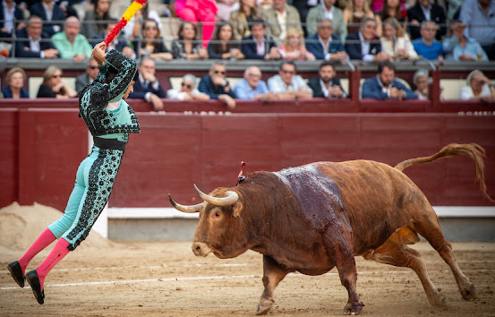 João Ferreira-10.05.2024-Madrid.png