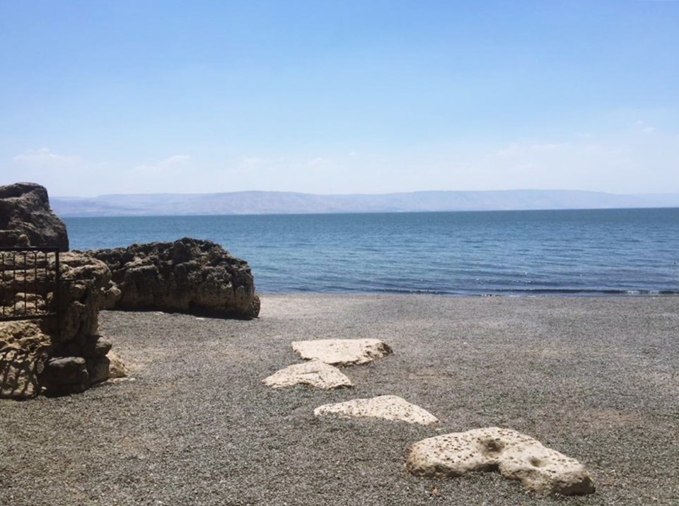 primado de pedro 3.jpg