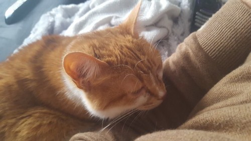 26731558_10210301623089421_8005535886323443844_n.j