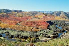 lifestyle.publico.pt Foz Coa.jpg