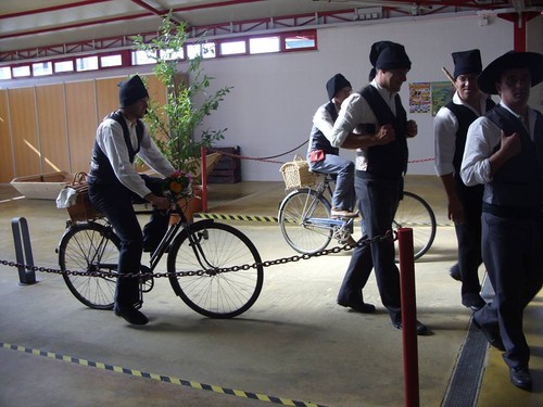 11863390_1622622958000069_3440400916167567098_n.jp