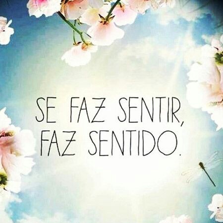 11999032_1123093427718644_1819557811299225844_n.jp