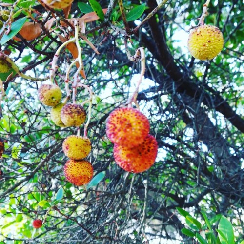 41880617_1208730239266735_5877827920428269568_n.jp 41880617_1208730239266735_5877827920428269568_n.jp