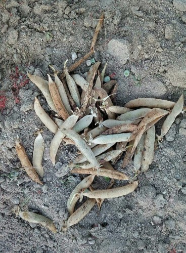 33030070_1896645833701707_5675895656435154944_n.jp