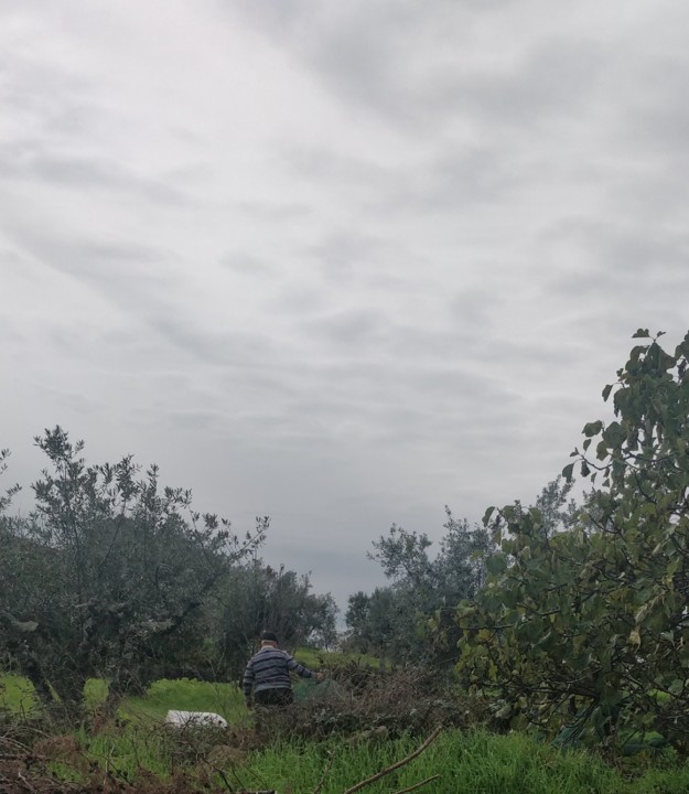 IMG_20191119_105537__01.jpg IMG_20191119_105537__01.jpg