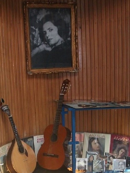 Amália_Mostra 13.jpg