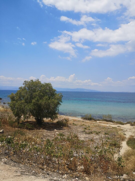 WhatsApp Image 2023-05-31 at 11.09.43 (2).jpeg