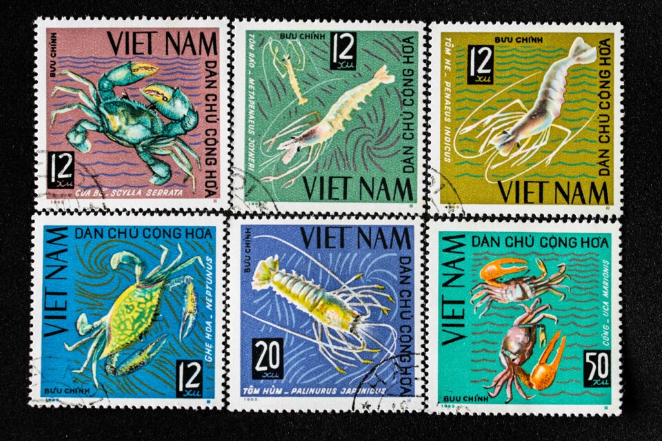 selos vietname 1.jpg