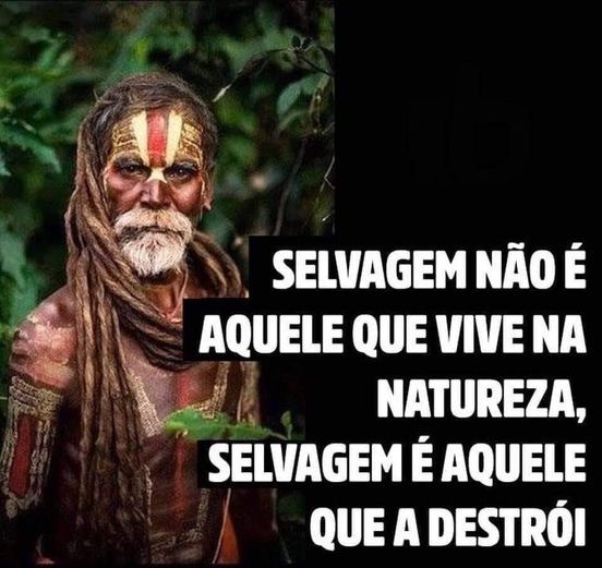 Deixa de ser selvagem....jpg