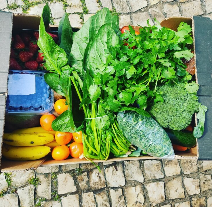 486242127_18468592093066958_152207986846164526_n.j