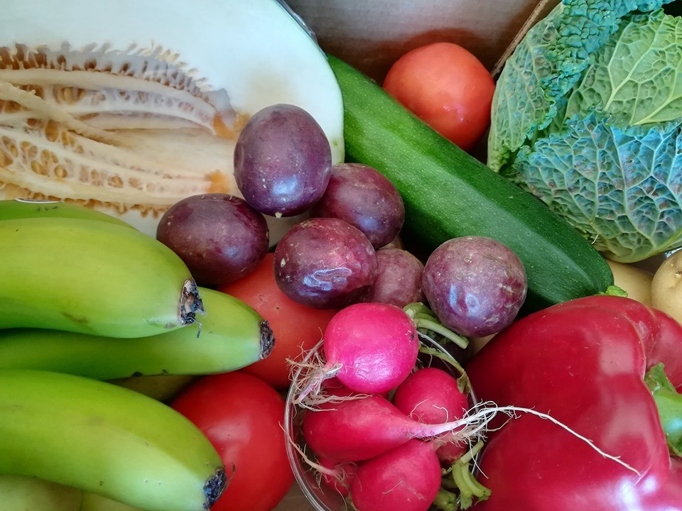 71142748_1466493463490410_7936503168144244736_n.jp