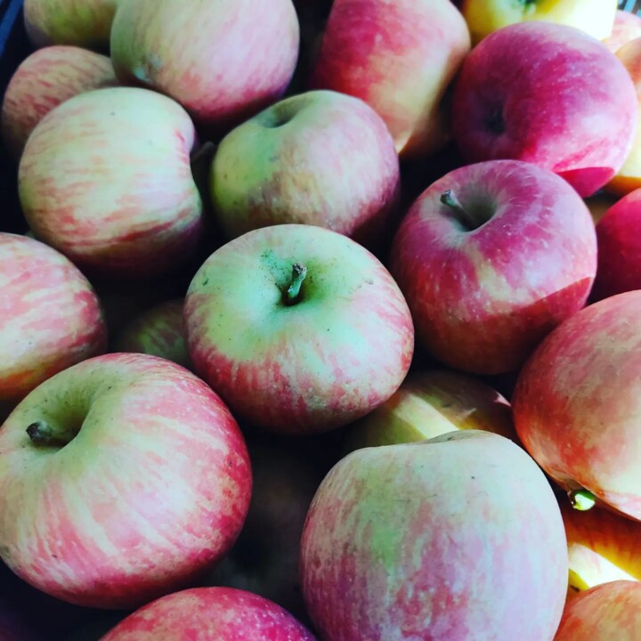 327940887_1834080556978524_6197521141792615052_n.j