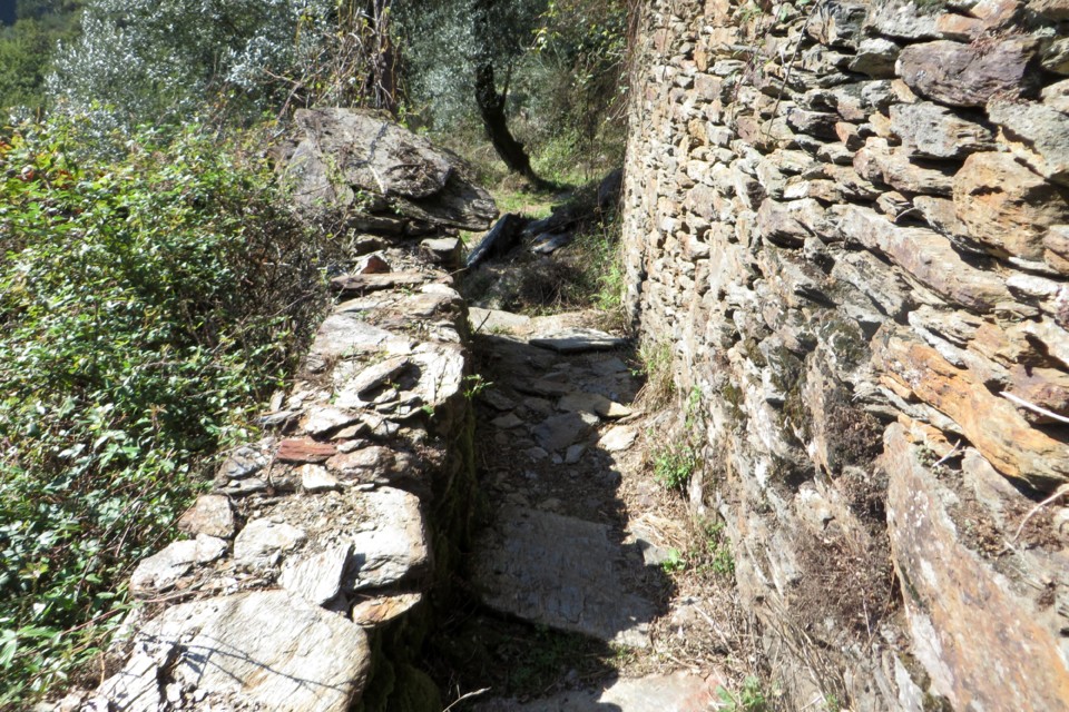 IMG_4658.JPG IMG_4658.JPG