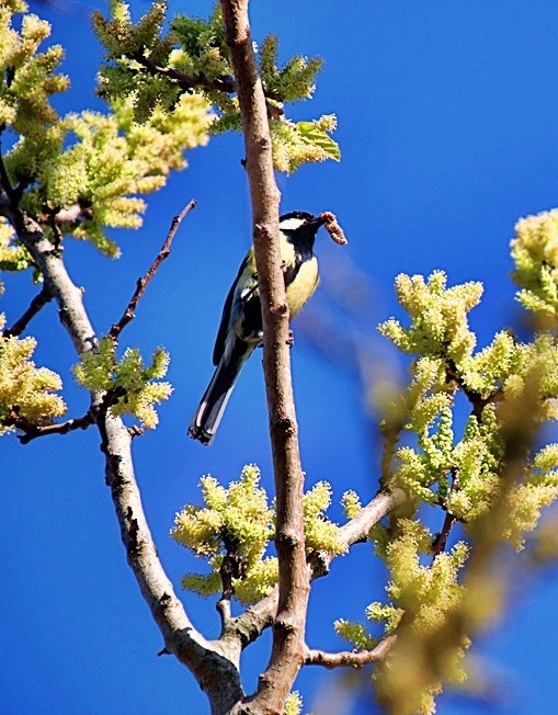 IMG_0659.JPG IMG_0659.JPG