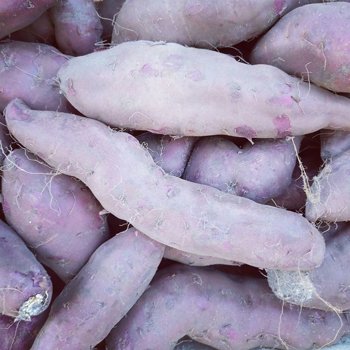 110272047_1760361440770276_3802258097071834449_o.j