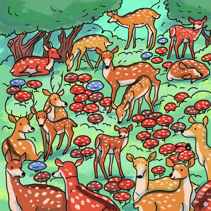 14233060-89653360-0f5bbef202ad7ae9b4e680007332cf0f