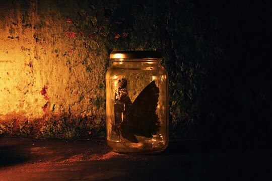 380223097_788203372995208_6058786136841790525_n.pn