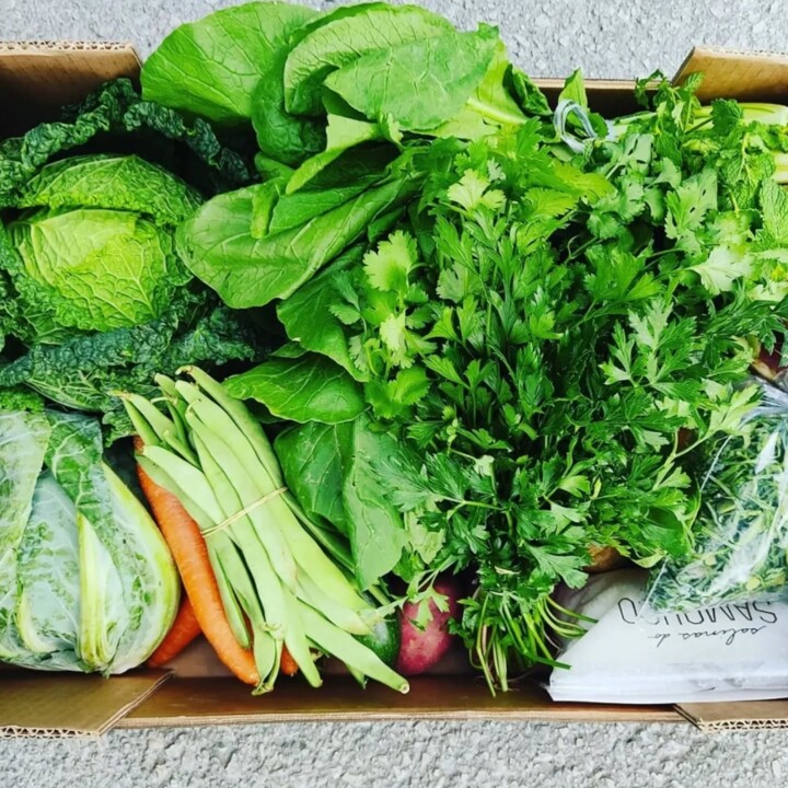 561594113_18503398351066958_1358360595088165010_n.