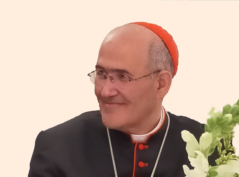 Cardinal_José_Tolentino_de_Mendonça.jpg