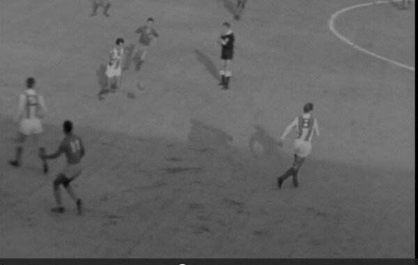 faneca(2)correia (8).jpg