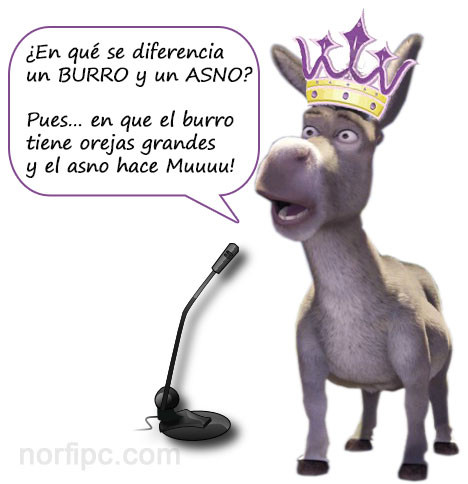 diferencia-entre-burro-asno.jpeg