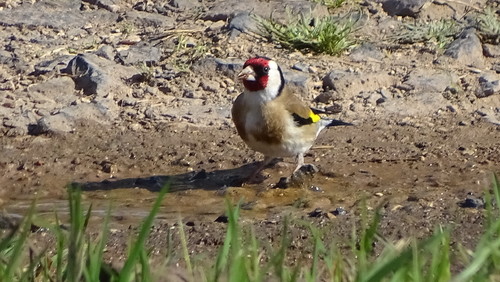 DSC00121.jpg DSC00121.jpg