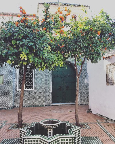 IMG_6729.JPG IMG_6729.JPG