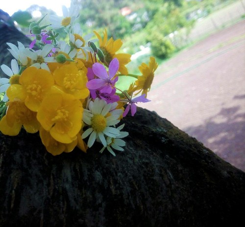 18359102_1318693001549681_8505883179952323565_o.jp 18359102_1318693001549681_8505883179952323565_o.jp