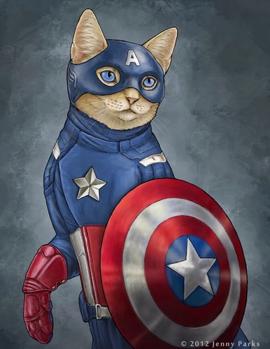 Capamaericacat.jpg