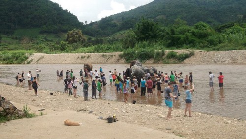 elepahnt nature park.jpg