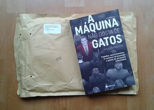 A máquina não gosta de gatos o vencedor.jpg