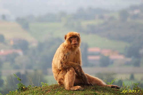 SAM_0026.JPG SAM_0026.JPG