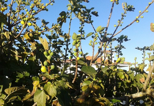 20160908_190003 (1).jpg