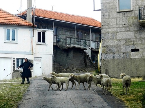 435 b -Coriscadas-60.JPG