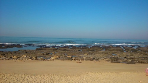 unnamed (1).jpg unnamed (1).jpg