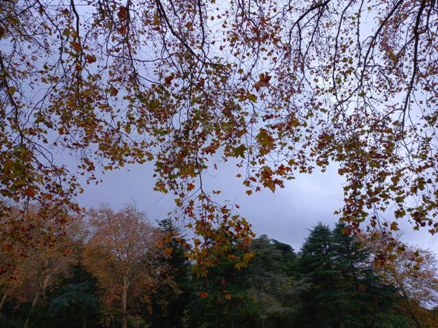 20231203_164445 - Cópia.jpg