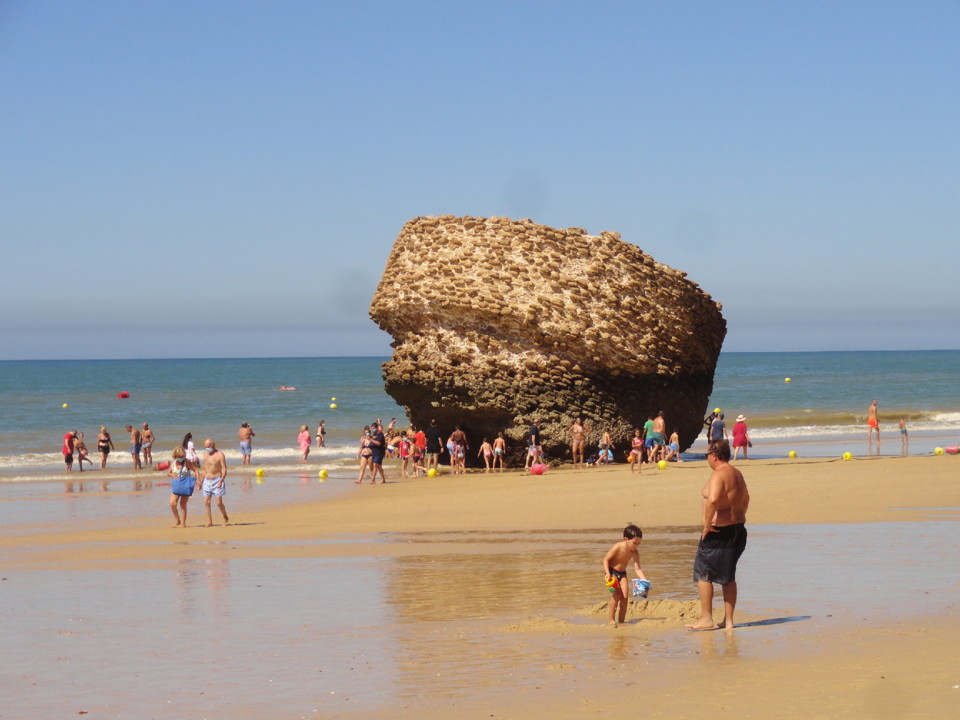 DSC01994.JPG DSC01994.JPG